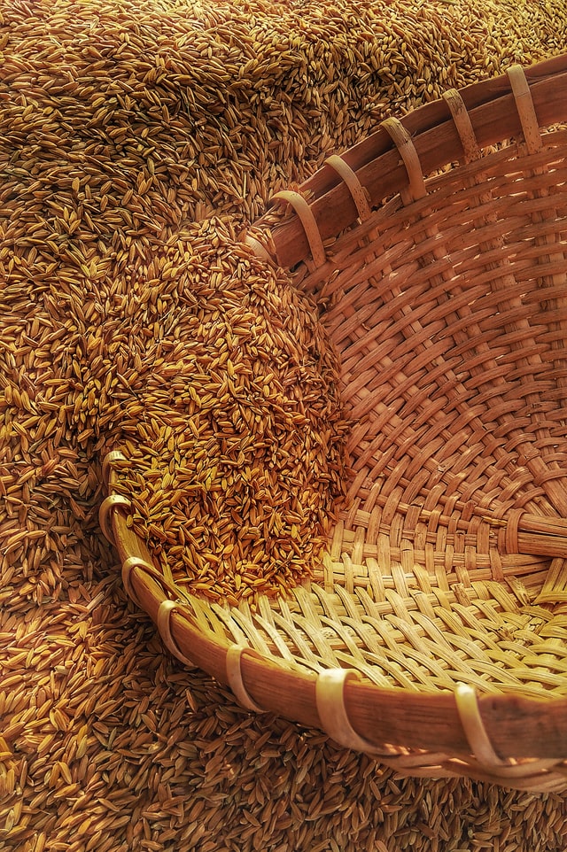 Grain in a Basket